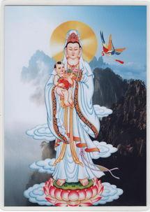 观音在线观看,揭秘网络世界中的慈悲女神  第3张